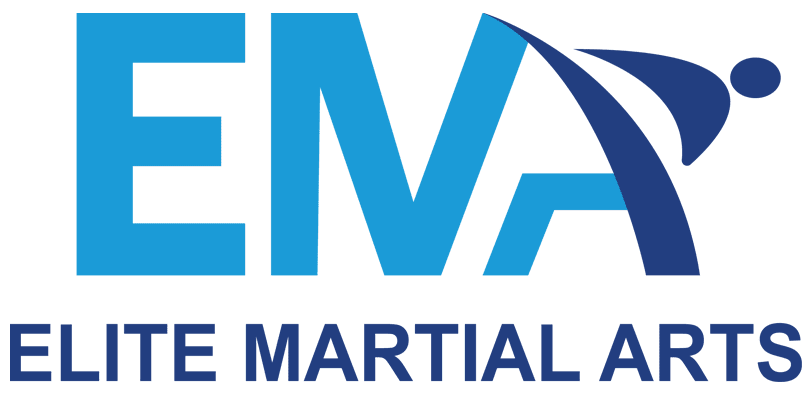 Elite Martial Arts Classes | Noble Ville Best Martial Arts